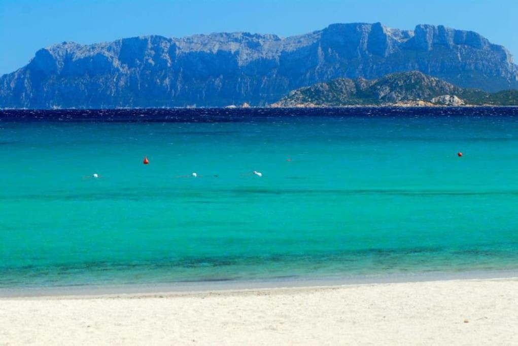 Sardegna Casa A 250 Metri Dal Mare Con Piscina Διαμέρισμα Όλμπια Εξωτερικό φωτογραφία